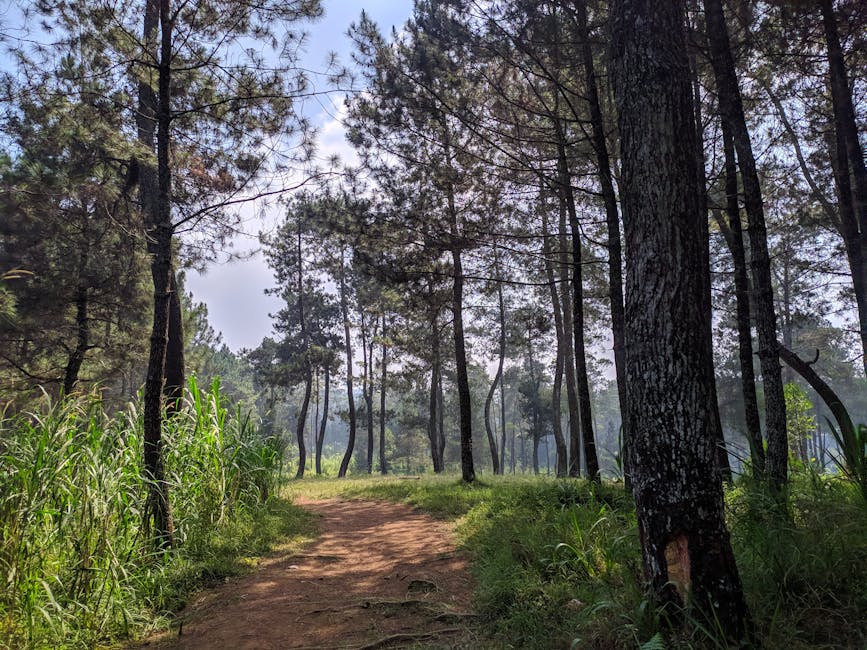 Participants gathered during a storytelling event